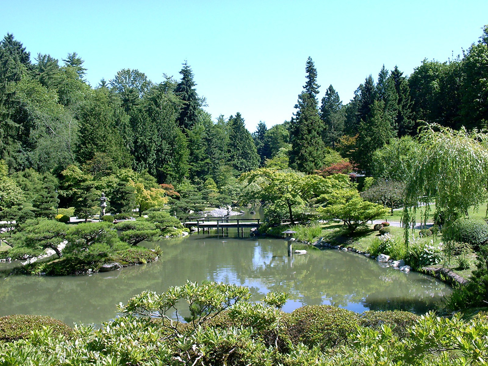 The Japanese Garden